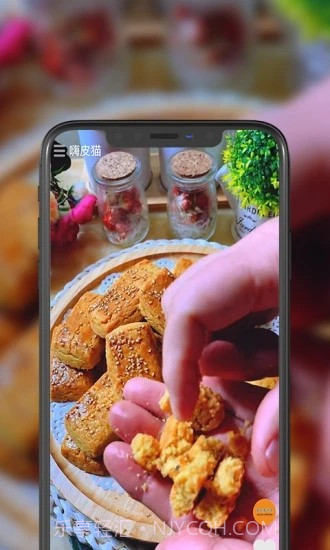 嗨皮猫短视频截图2 嗨皮猫短视频截图2