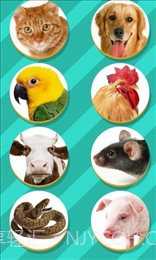 仓鼠语言翻译器（Pet Translator）截图3