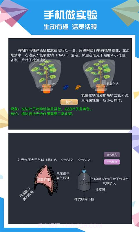 土豆生物截图3 土豆生物截图3