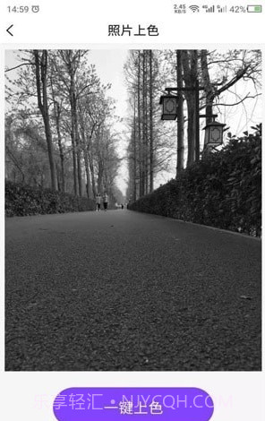 数创照片上色截图1