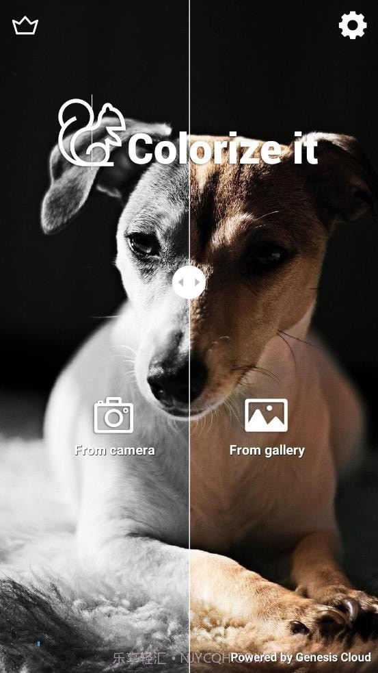 Colorize It截图2 Colorize It截图2