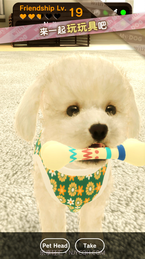 我的梦中情狗截图6 我的梦中情狗截图6