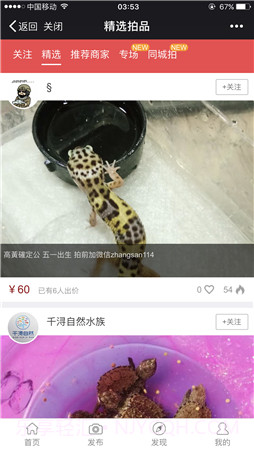 拍宠截图2 拍宠截图2