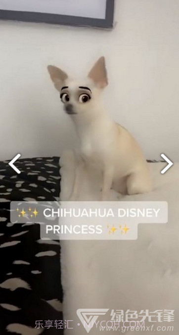 迪士尼滤镜(snapchat迪士尼滤镜)V1.1 安卓免费版截图2