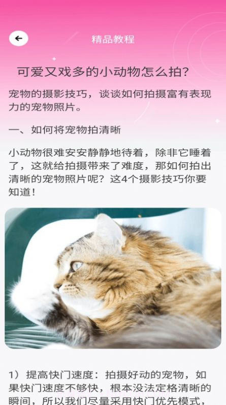 千颜秀拍摄截图3 千颜秀拍摄截图3