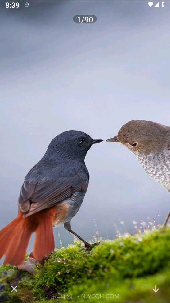 照片拼图呀Pro截图4