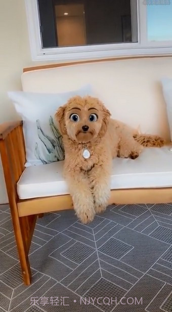 迪士尼滤镜截图2 迪士尼滤镜截图2