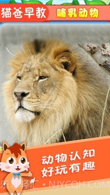 宝宝儿童动物世界截图2
