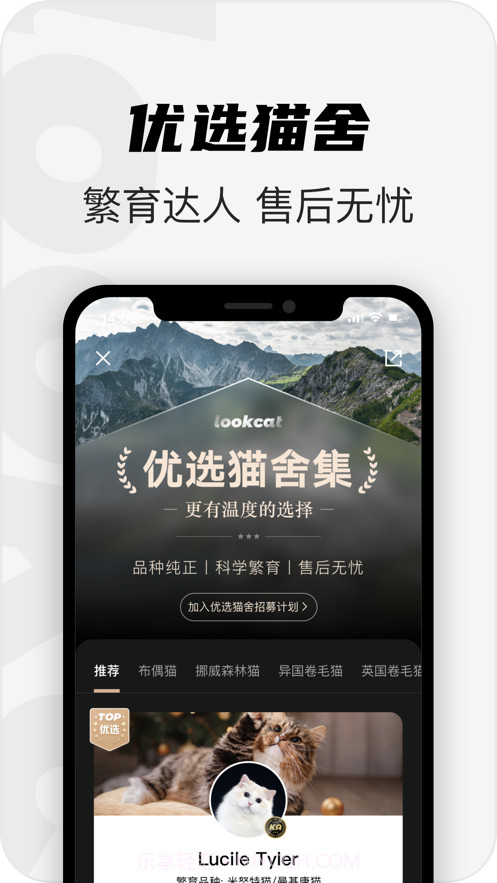 看猫截图3 看猫截图3