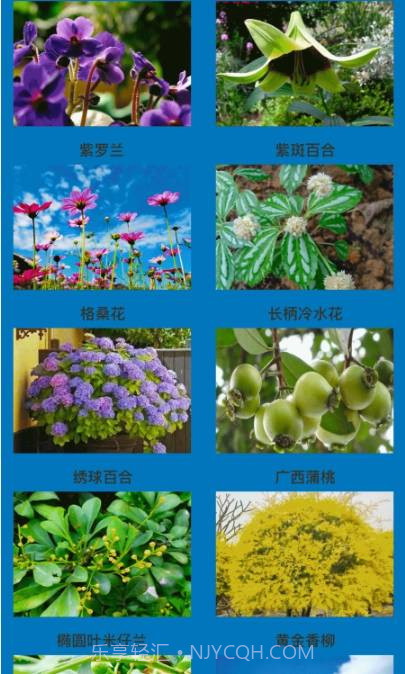 神农花草园艺截图3