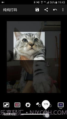 纯纯打码截图3 纯纯打码截图3