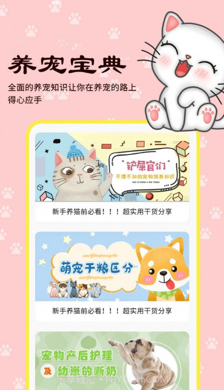 橙猫截图2 橙猫截图2