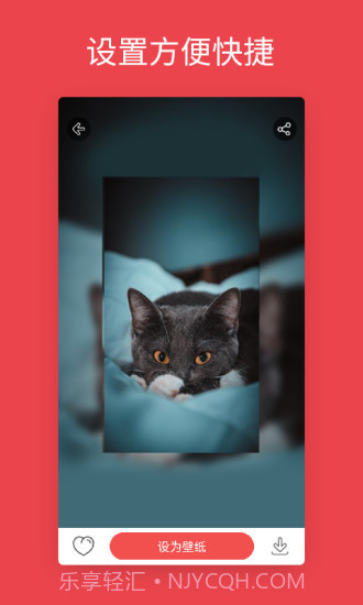 安卓动态壁纸截图1