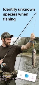 Picture Fish鱼类识别截图3