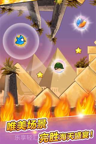 呆鸟也疯狂截图3