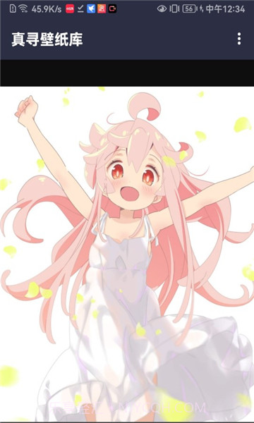 真寻壁纸库截图2 真寻壁纸库截图2