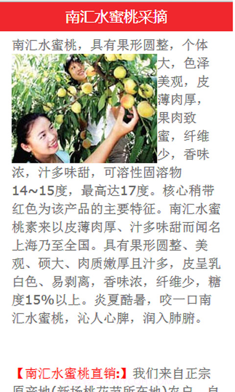 南汇水蜜桃手机网截图3