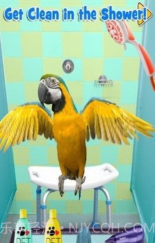 新生宠物兽医截图1 新生宠物兽医截图1