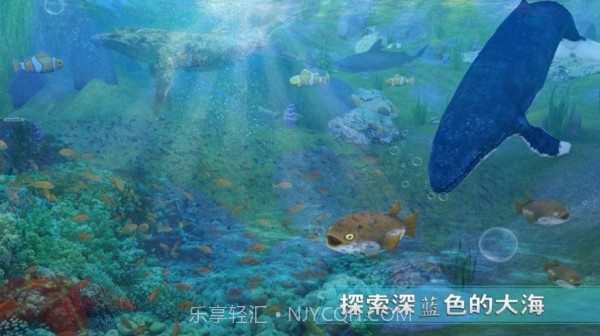 全民养鲨鱼截图1