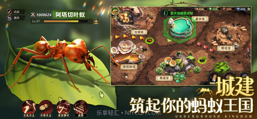 小小蚁国:真实蚂蚁世界截图1