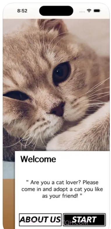 爱猫物语宠物店ios版截图1