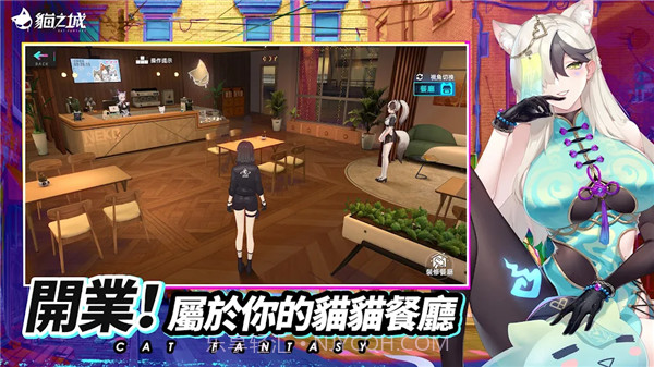 猫之城国际服截图2