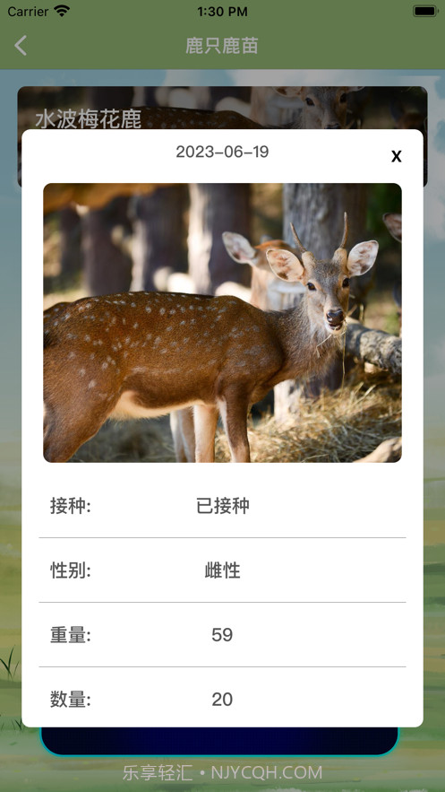 万鹿王截图7 万鹿王截图7