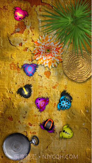 口袋青蛙截图3 口袋青蛙截图3