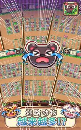 动物大风吹截图3 动物大风吹截图3