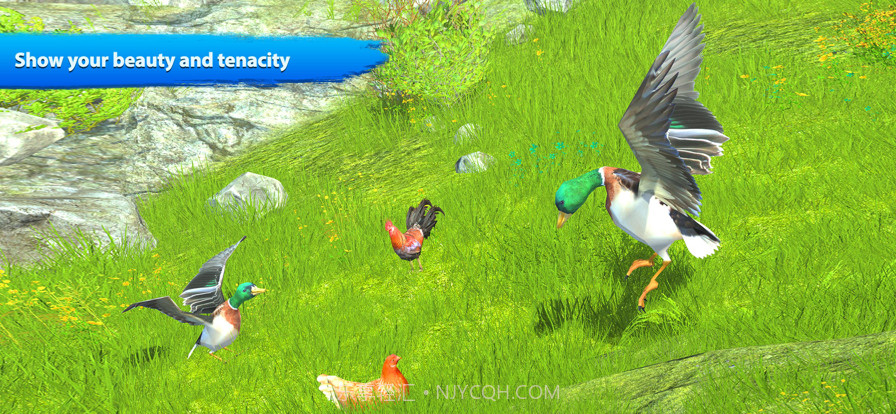 飞鸭家庭模拟器截图6 飞鸭家庭模拟器截图6