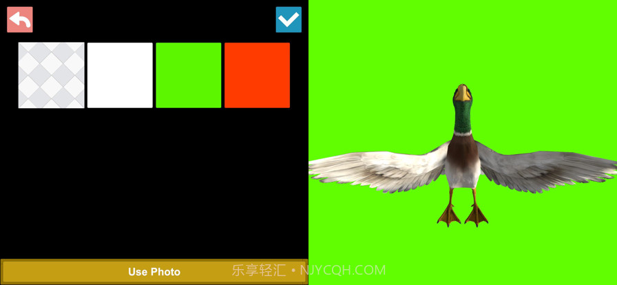 鸟类3D参考截图5