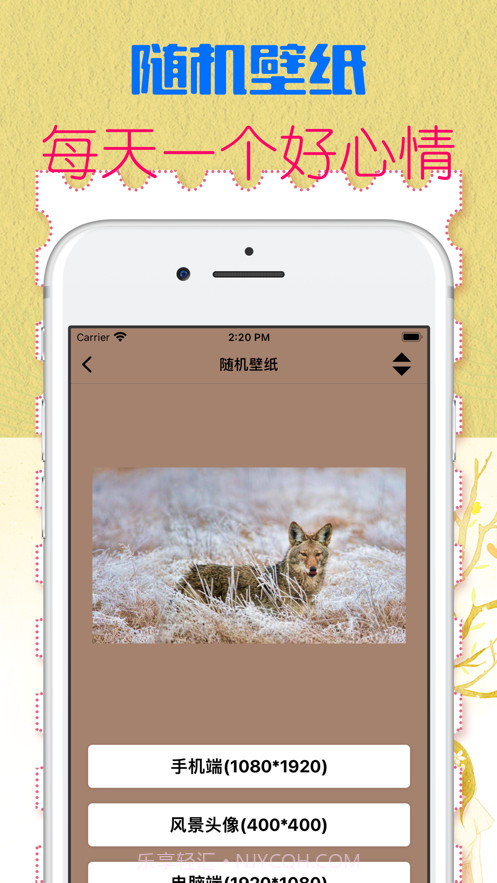 南瓜侠截图4 南瓜侠截图4