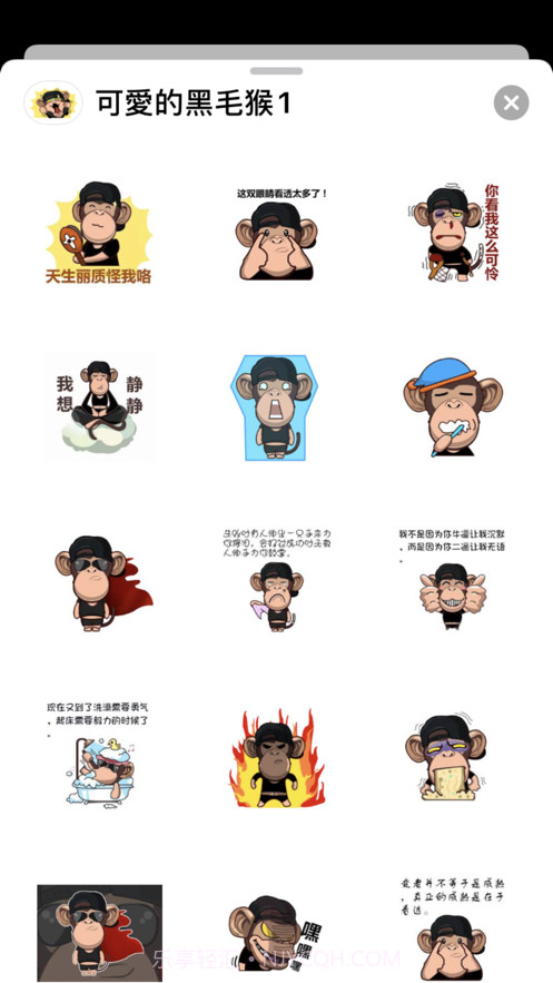 可愛的黑毛猴截图3 可愛的黑毛猴截图3