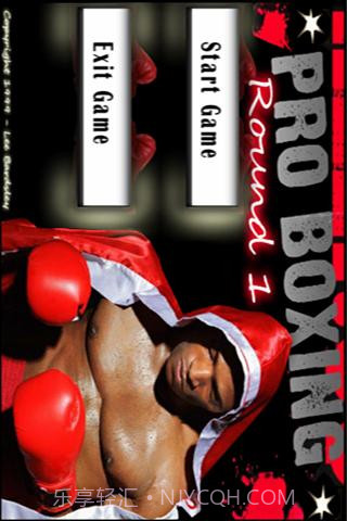 3D拳击大赛截图1