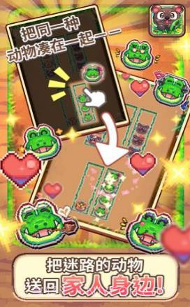 动物大风吹截图2 动物大风吹截图2