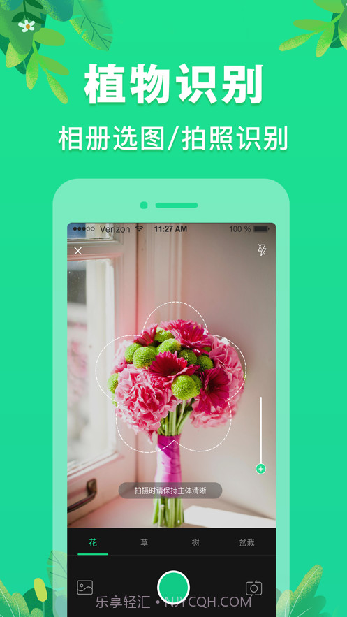 植物识别截图2 植物识别截图2