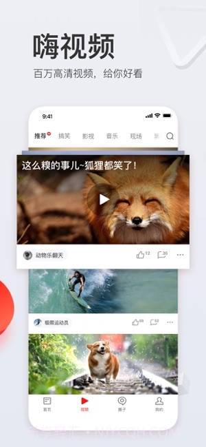 网易新闻(新闻资讯)截图5 网易新闻(新闻资讯)截图5
