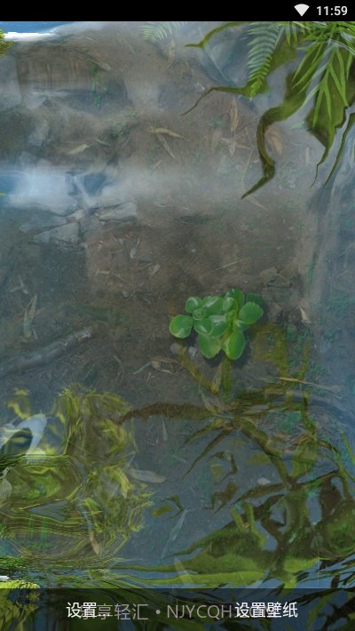 鱼池动态壁纸截图1