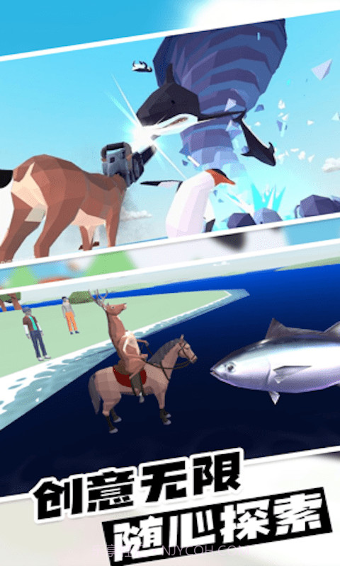 动物爱挑战截图4