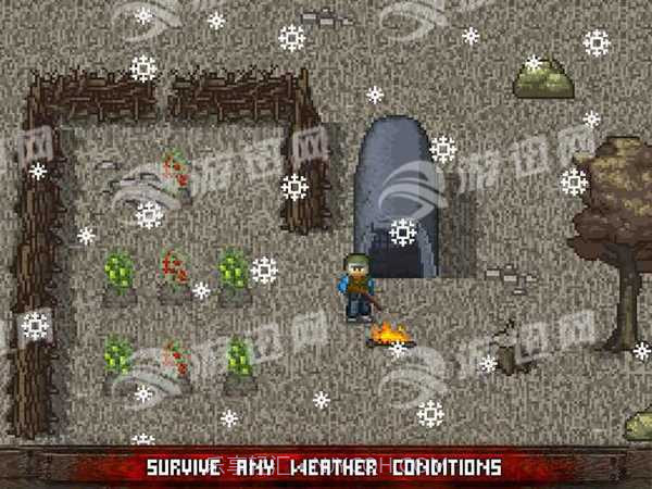 迷你DAYZ最新版截图2