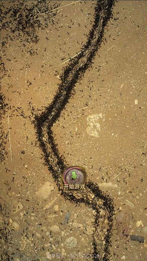 地下蚁国蚁族崛起截图3 地下蚁国蚁族崛起截图3