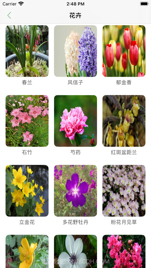 口袋绿植截图3 口袋绿植截图3