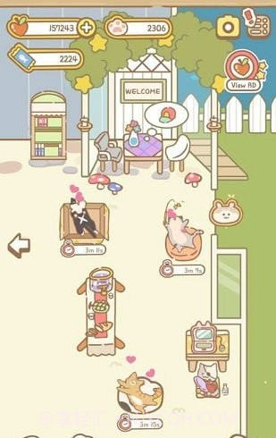 猫咪spa截图3 猫咪spa截图3