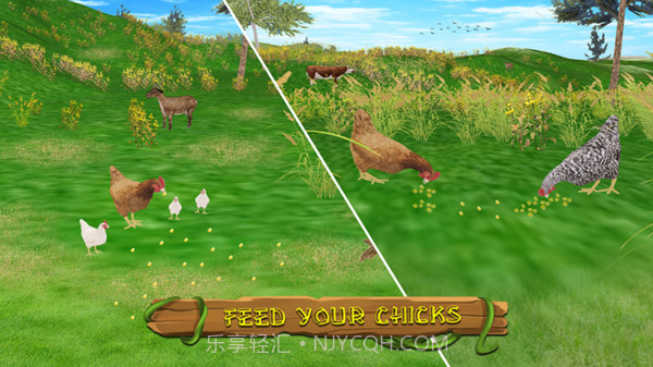 真实模拟鸡3D截图3