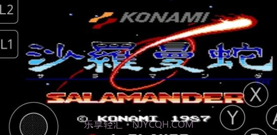 fc沙罗曼蛇截图1 fc沙罗曼蛇截图1