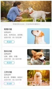 小兔乐跑截图1 小兔乐跑截图1