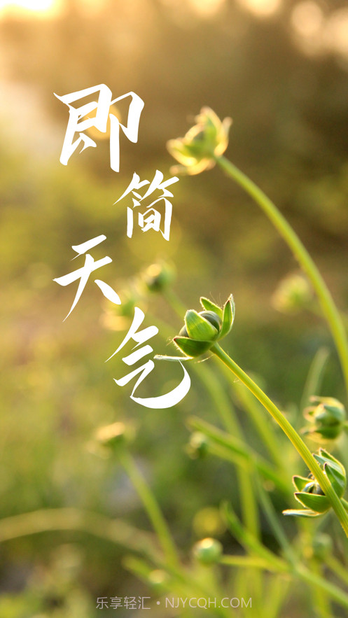 即简天气截图1 即简天气截图1