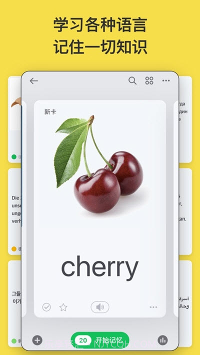 闪卡(高效记忆学习工具)截图2 闪卡(高效记忆学习工具)截图2