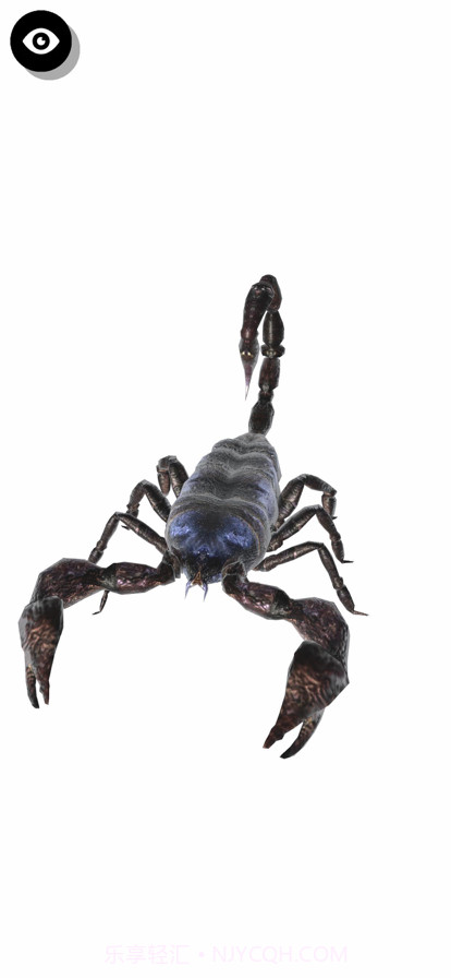 昆虫三维文件截图4 昆虫三维文件截图4