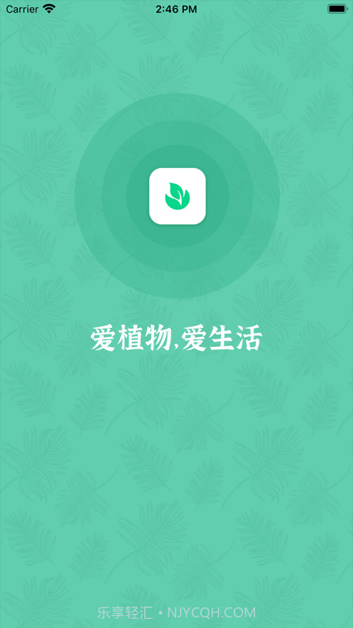 口袋绿植截图1 口袋绿植截图1
